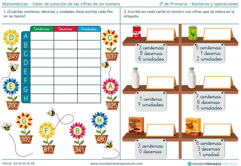 Página de muestra del cuaderno